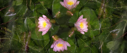 After Work-Kursreihe: Mehrdimensional fotografieren